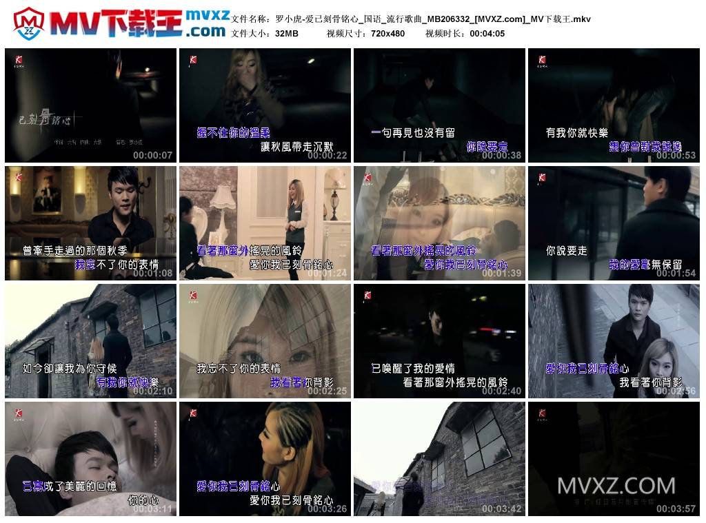罗小虎-爱已刻骨铭心_国语_流行歌曲_MB206332